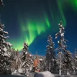Arctic Delight شقة *
