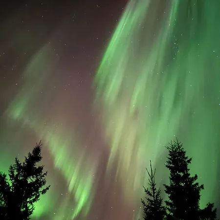 公寓 北极宜人度假公寓 *