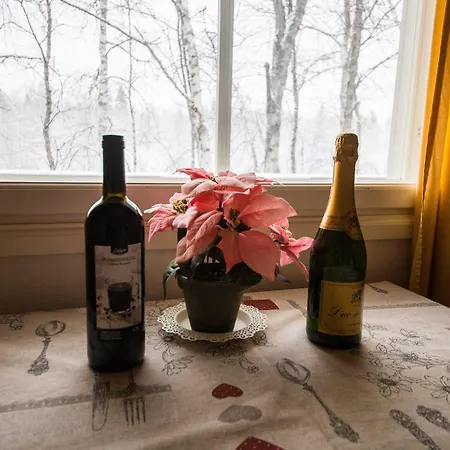 北极宜人度假公寓 *