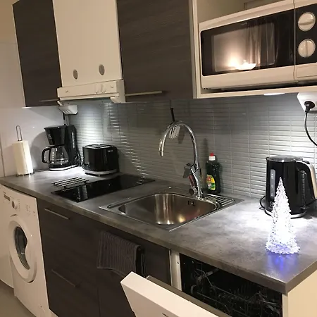 公寓 北极宜人度假公寓 *