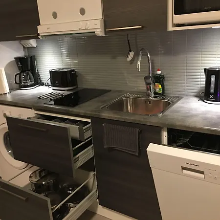 Arctic Delight Rovaniemi