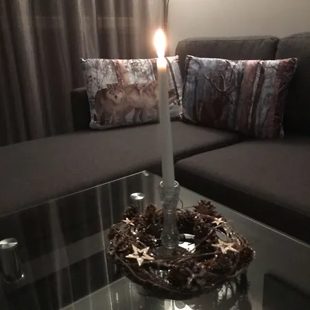 公寓 北极宜人度假公寓 *