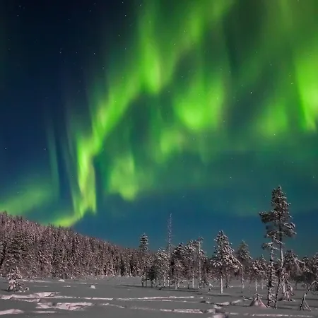 Apartment Arctic Delight