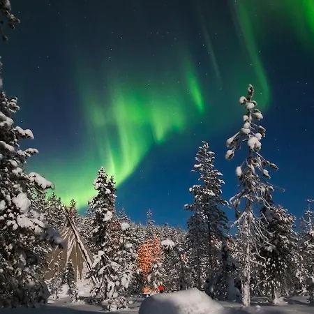 Arctic Delight Apartment *