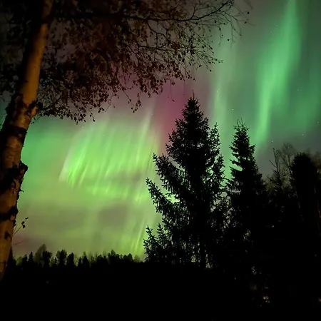 北极宜人度假公寓 公寓 罗瓦涅米