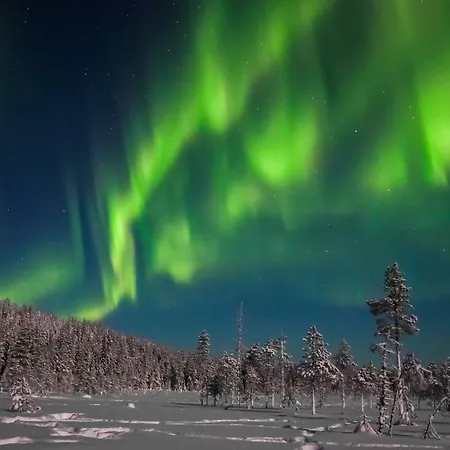 Apartment Arctic Delight Rovaniemi