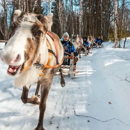 Апартаменты Arctic Delight *