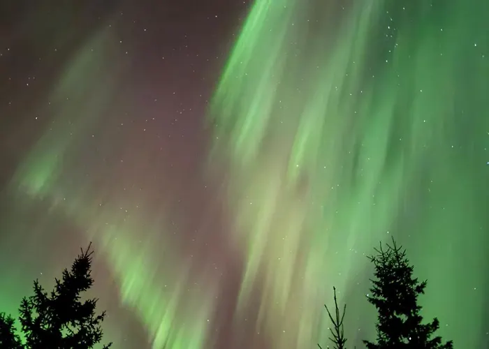 Апартаменты Arctic Delight *