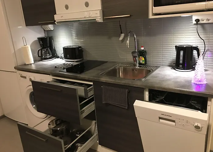 Arctic Delight Rovaniemi