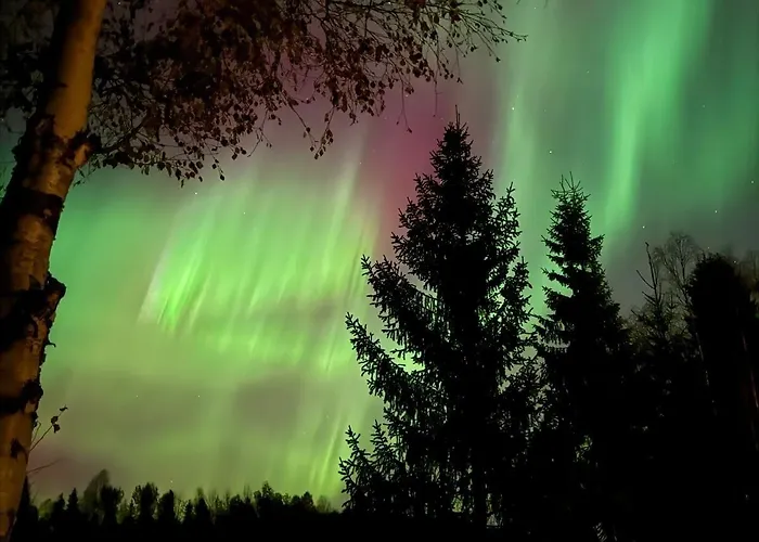 Arctic Delight Апартаменты Рованиеми