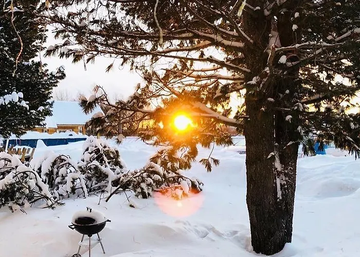 Apartman Arctic Delight