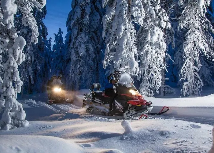 Апартаменты Arctic Delight Рованиеми