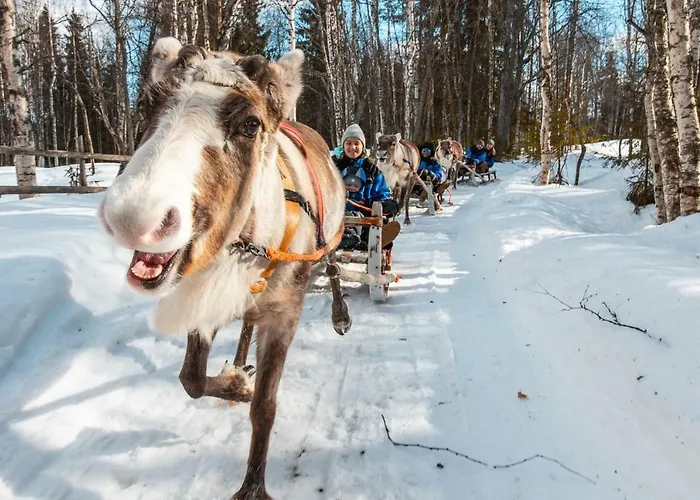 Апартаменты Arctic Delight *